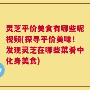 灵芝平价美食有哪些呢视频(探寻平价美味！发现灵芝在哪些菜肴中化身美食)