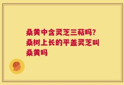 桑黄中含灵芝三萜吗？桑树上长的平盖灵芝叫桑黄吗