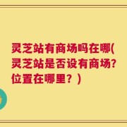 灵芝站有商场吗在哪(灵芝站是否设有商场？位置在哪里？)