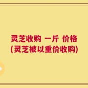 灵芝收购 一斤 价格(灵芝被以重价收购)