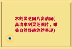 木刻灵芝图片高清图(高清木刻灵芝图片，唯美自然野趣悠然呈现)