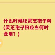 什么时候吃灵芝孢子粉(灵芝孢子粉应当何时食用？)