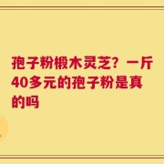 孢子粉椴木灵芝？一斤40多元的孢子粉是真的吗