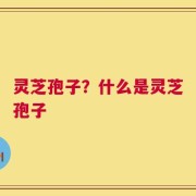 灵芝孢子？什么是灵芝孢子