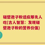 碰壁孢子粉适应那先人吃(古人智慧：发现碰壁孢子粉的营养价值)