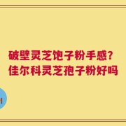 破壁灵芝饱子粉手感？佳尔科灵芝孢子粉好吗