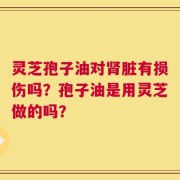 灵芝孢子油对肾脏有损伤吗？孢子油是用灵芝做的吗？