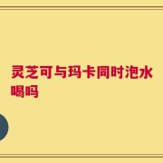 灵芝可与玛卡同时泡水喝吗