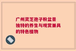 广州灵芝孢子粉盆景 独特的养生与观赏兼具的特色植物