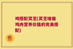 鸡搭配灵芝(灵芝增强鸡肉营养价值的完美搭配)