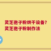 灵芝孢子粉烘干设备？灵芝孢子粉制作法