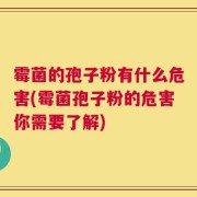 霉菌的孢子粉有什么危害(霉菌孢子粉的危害你需要了解)