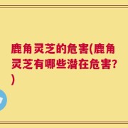 鹿角灵芝的危害(鹿角灵芝有哪些潜在危害？)