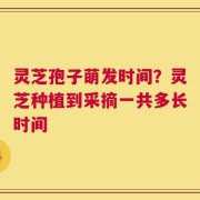 灵芝孢子萌发时间？灵芝种植到采摘一共多长时间