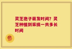 灵芝孢子萌发时间？灵芝种植到采摘一共多长时间