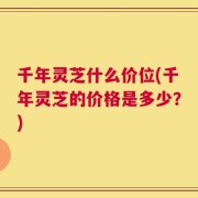 千年灵芝什么价位(千年灵芝的价格是多少？)