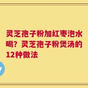 灵芝孢子粉加红枣泡水喝？灵芝孢子粉煲汤的12种做法
