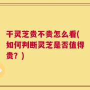 干灵芝贵不贵怎么看(如何判断灵芝是否值得贵？)