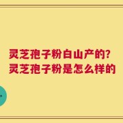 灵芝孢子粉白山产的？灵芝孢子粉是怎么样的