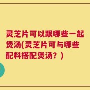 灵芝片可以跟哪些一起煲汤(灵芝片可与哪些配料搭配煲汤？)