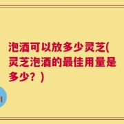 泡酒可以放多少灵芝(灵芝泡酒的最佳用量是多少？)