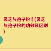 灵芝与孢子粉冇(灵芝与孢子粉的功效及区别)
