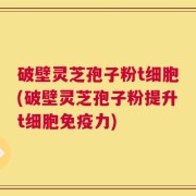 破壁灵芝孢子粉t细胞(破壁灵芝孢子粉提升t细胞免疫力)