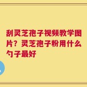 刮灵芝孢子视频教学图片？灵芝孢子粉用什么勺子最好
