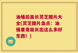 油桶后面长灵芝图片大全(灵芝图片盘点：油桶里竟能长出这么多好东西！)