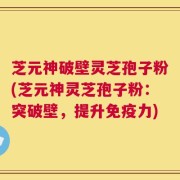 芝元神破壁灵芝孢子粉(芝元神灵芝孢子粉：突破壁，提升免疫力)