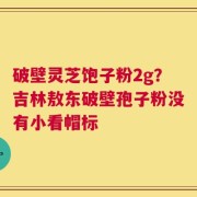 破壁灵芝饱子粉2g？吉林敖东破壁孢子粉没有小看帽标