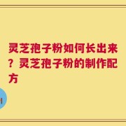 灵芝孢子粉如何长出来？灵芝孢子粉的制作配方