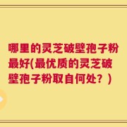 哪里的灵芝破壁孢子粉最好(最优质的灵芝破壁孢子粉取自何处？)