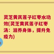 灵芝黄芪莲子红枣水功效(灵芝黄芪莲子红枣汤：滋养身体，提升免疫力)