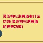 灵芝枸杞泡黄酒有什么功效(灵芝枸杞泡黄酒的神奇功效)