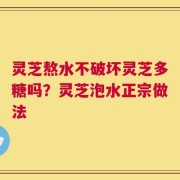 灵芝熬水不破坏灵芝多糖吗？灵芝泡水正宗做法