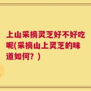 上山采摘灵芝好不好吃呢(采摘山上灵芝的味道如何？)