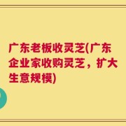 广东老板收灵芝(广东企业家收购灵芝，扩大生意规模)