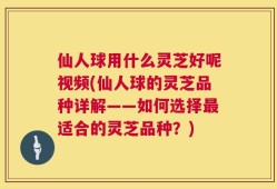 仙人球用什么灵芝好呢视频(仙人球的灵芝品种详解——如何选择最适合的灵芝品种？)