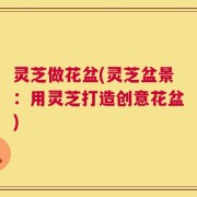 灵芝做花盆(灵芝盆景：用灵芝打造创意花盆)