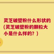 灵芝破壁粉什么形状的(灵芝破壁粉的颗粒大小是什么样的？)