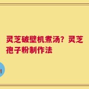 灵芝破壁机煮汤？灵芝孢子粉制作法