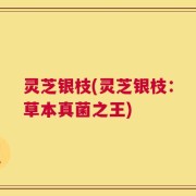 灵芝银枝(灵芝银枝：草本真菌之王)