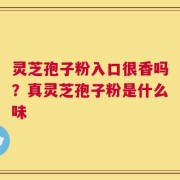 灵芝孢子粉入口很香吗？真灵芝孢子粉是什么味