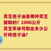 灵芝孢子油是哪种灵芝提取的？1000公斤灵芝萃体可取出多少公斤纯孢子油？