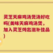 灵芝天麻鸡汤煲汤好吃吗(美味天麻鸡汤煲，加入灵芝炖出滋补佳品)