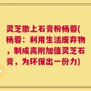 灵芝撒上石膏粉杨蓉(杨蓉：利用生活废弃物，制成高附加值灵芝石膏，为环保出一份力)