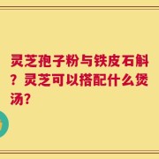 灵芝孢子粉与铁皮石斛？灵芝可以搭配什么煲汤？