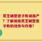 灵芝破壁孢子粉湖南产？了解湖南灵芝破壁孢子粉的功效与作用？