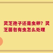 灵芝孢子还是虫卵？灵芝菌包有虫怎么处理